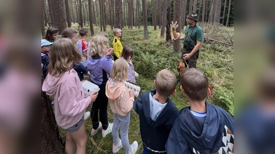 Station im Wald: Vorstand Jim Sporrer erzählt den Kindern das wichtigste zu den verschiedenen Bewohnern des Waldes (hier im Bild: präpariertes Reh) (Bild: Annika Sporrer)