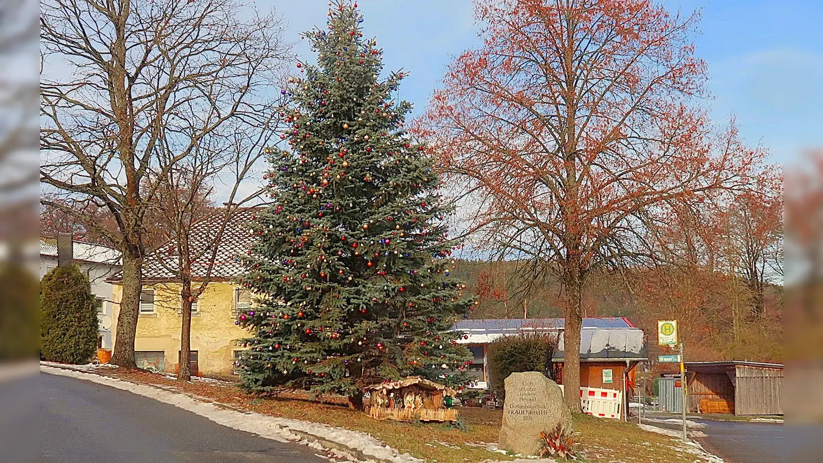 1162 Christbaumkugeln schmücken seit dem 1. Advent den großen Weihnachtsbaum am Dorfanger in Frauenreuth. Der Christbaum selbst wurde von Marita Höllerich gespendet. (Bild: Bernhard Schultes)