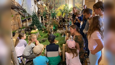 Die Ferienkids erkunden das Jagdmuseum im Schloss Burgtreswitz (Bild: Eva Mitlmeier)