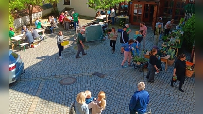 Reger Betrieb bei der Pflanzentauschbörse des OGV. Die Vorstandschaft um Andre Dietrich hatte einiges zu bieten.  (Bild: Karlheinz Schultes)