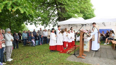 Zu Ehren des Hl. Donatus feierte Kaplan Marvin Schwedler mit vielen Gläubigen in Aschach den Gottesdienst an der gleichnamigen Kapelle.  (Bild: Alfred Schorner)
