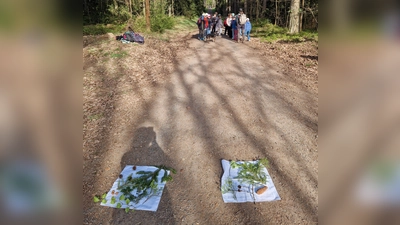 Im Wettlaufspiel zeigten die Kinder ihr Wissen. (Bild: Kerstin Münchmeier)