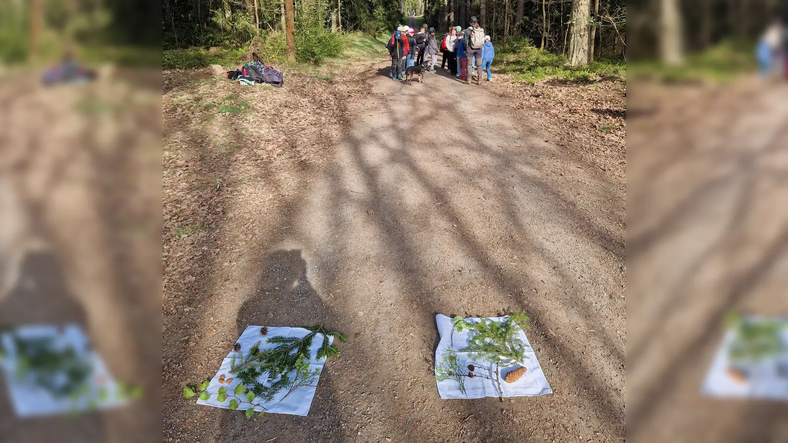Im Wettlaufspiel zeigten die Kinder ihr Wissen. (Bild: Kerstin Münchmeier)