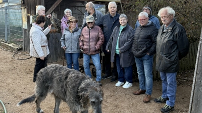 Im „Nest” werden viele Tiere versorgt. (Bild: Reinhold Strobl)