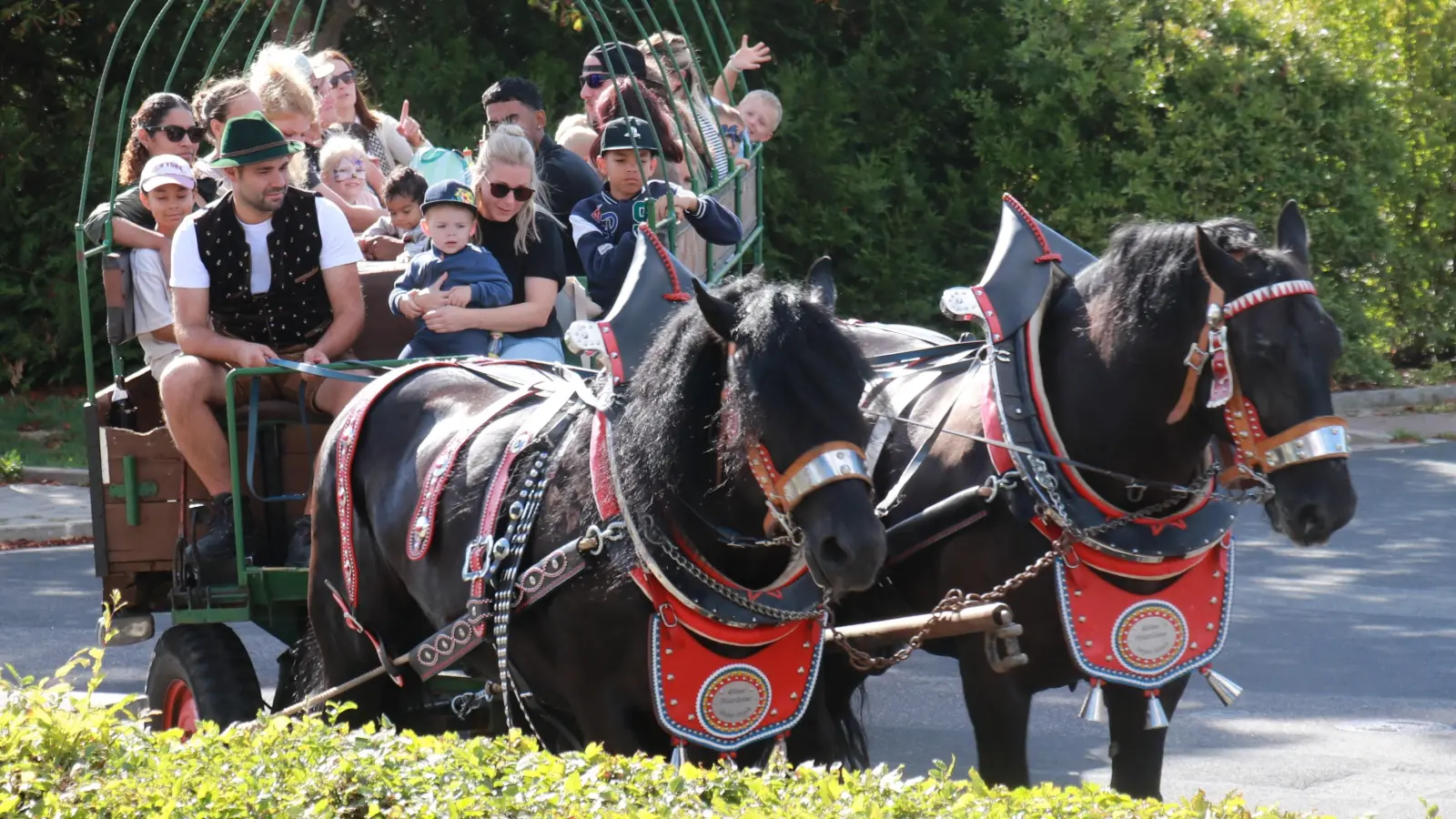 Eine Fahrt mit der Pferdekutsche der Familie Wölker war für viele die Hauptattraktion des Kinderfestes. (Bild: Wilhelm Ertl)