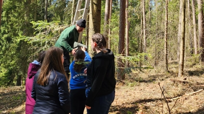 Aktion im Klosterwald: Es werden Fledermauskästen installiert. (Bild: Verena Pentner)
