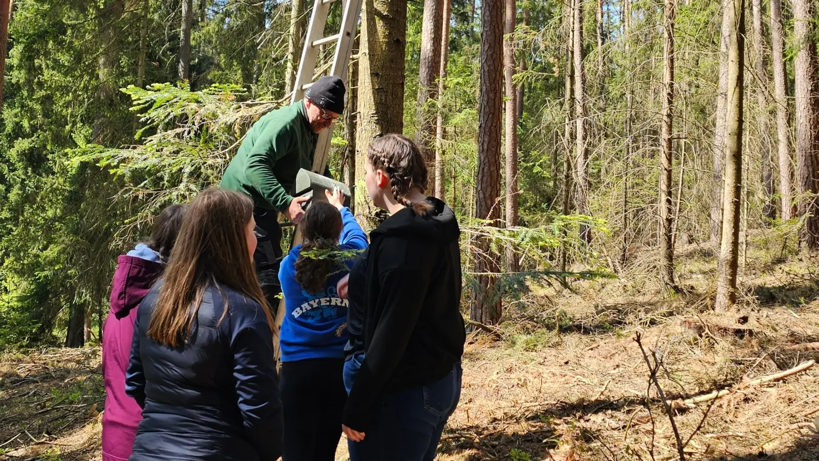 Aktion im Klosterwald: Es werden Fledermauskästen installiert. (Bild: Verena Pentner)