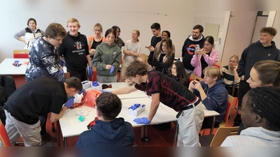 Die Schüler der R9 beim Sezieren der Schweinelunge . (Bild: Bernhard Hirsch)