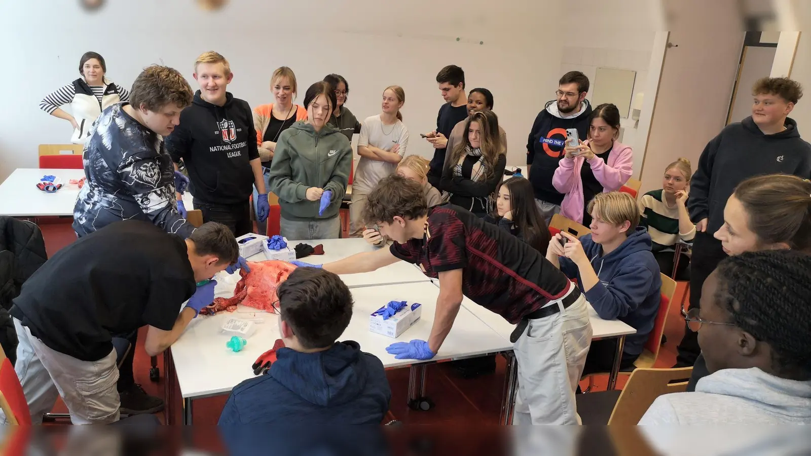 Die Schüler der R9 beim Sezieren der Schweinelunge . (Bild: Bernhard Hirsch)