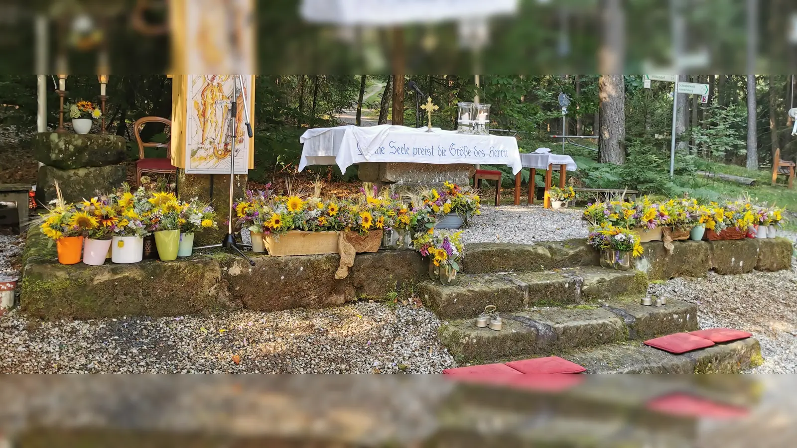 rhdr (Bild: Herbert Ziegler)