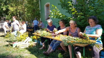 Eifrig banden fleißige Frauen Kräuterkränzchen und –buschen sowie Kräuterzöpfe zur Segnung an Mariä Himmelfahrt im Garten am Pfarrheim in Moosbach bzw. bei Gerlinde Rom in Tröbes.  (Bild: Peter Garreiss)