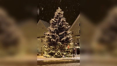 Christbaum Marktplatz (Bild: Peter Mayer)
