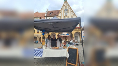 Die Aktion „I AM Oberpfalz“ bringt Tradition, Musik und Mitmachangebote in die Amberger Innenstadt. (Bild: exb)