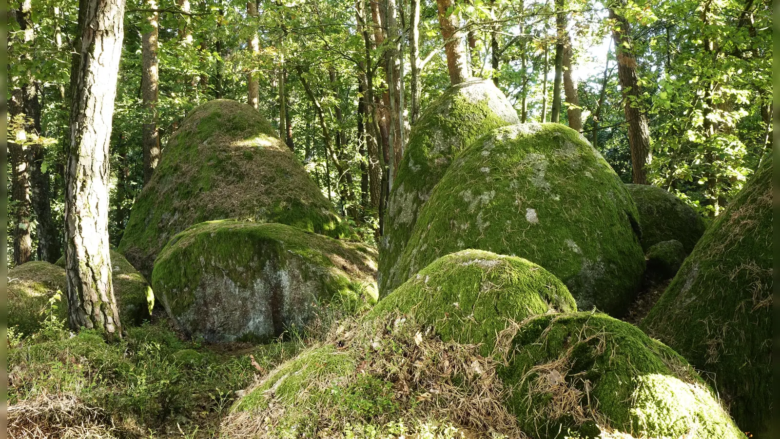 Die mächtigen Felsblöcke am Doost wären ohne Aufhellblitz auf Fotos nur schemenhaft zu sehen. Tipps zum Gegensteuern gab es beim Fotoklub. (Bild: Jürgen Riebl)