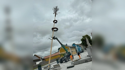 Mit vereinten Kräften und Maschineneinsatz vom Bauhof und 2.Bürgermeister Thomas Kleber wurde der Maibaum gefällt. (Bild: Eva-Maria Procher)