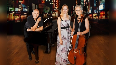 Das Bild zeigt das Trio American Songbook, das beim Benefizkonzert im Rathaussaal Vohenstrauß auftritt. (Bild: Albert Sommer)