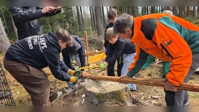 Schüler der Realschule im Stiftland beim Sägen – unter Anleitung entsteht ein Hochsitz (Bild: Barbara Strenge)