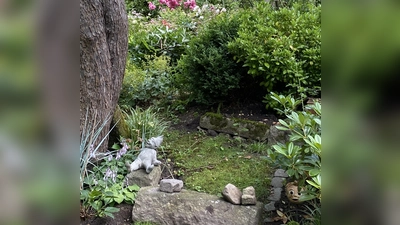 Einblick in den idyllisch gestalteten Garten (Bild: Patricia Kreuzer)