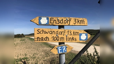 Die Tagesetappen werden von Pilgerführern begleitet. (Bild: Evi Wagner)