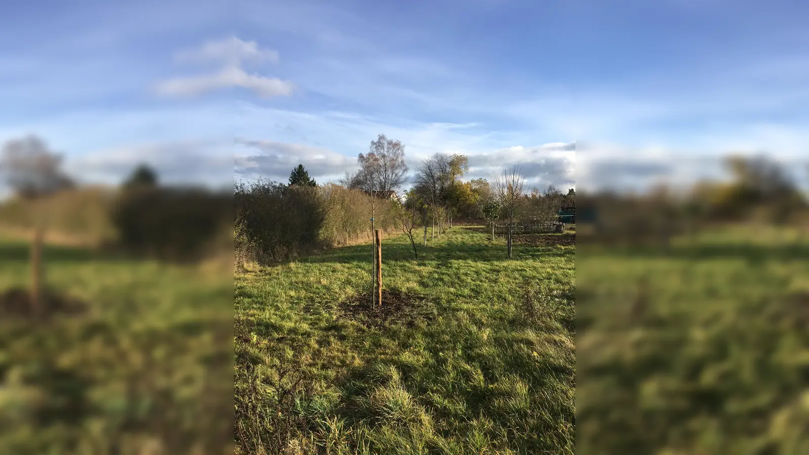 Streuobst-Aktion (Bild: Redaktion)