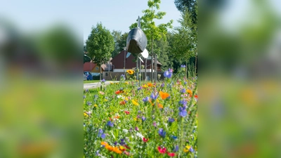 Bunt und vielfältig: Die Kemnather Karpfenwegmischung sorgt für eine nachhaltige Blütenpracht.  (Bild: Doris Köhler)