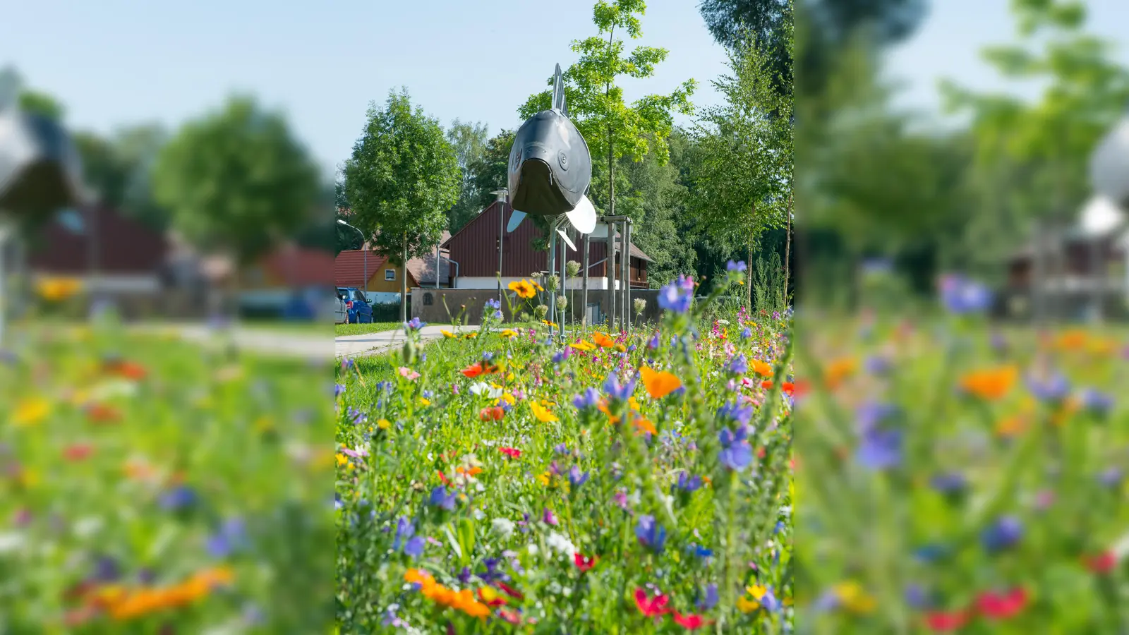 Bunt und vielfältig: Die Kemnather Karpfenwegmischung sorgt für eine nachhaltige Blütenpracht.  (Bild: Doris Köhler)