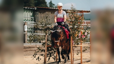 Nach der Geländestrecke ging es zum zweiten Teil des Turniers: dem Trailparcours (Bild: Marlena Haberkon)
