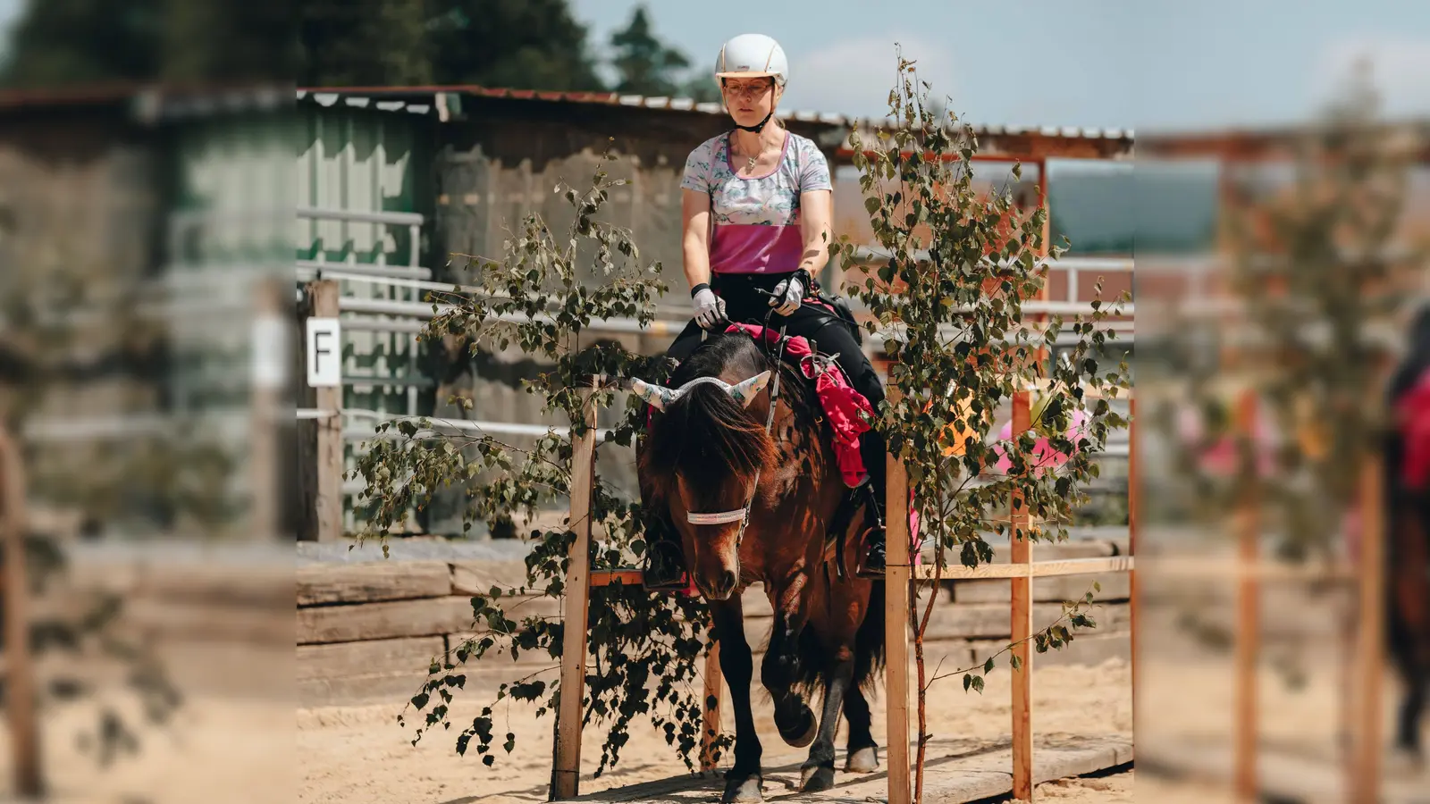 Nach der Geländestrecke ging es zum zweiten Teil des Turniers: dem Trailparcours (Bild: Marlena Haberkon)