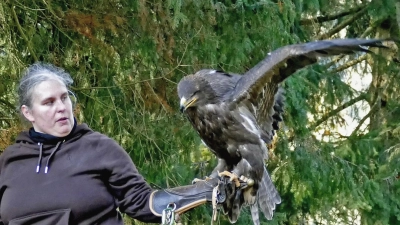 Wie gut sich Johanna Kerbeck-Zenz und ihr Adler „Ivan” verstehen, wurde beinem Workshop des Fotoklubs im OSTI-Steinbruch deutlich. (Bild: Andrea Hirmer)