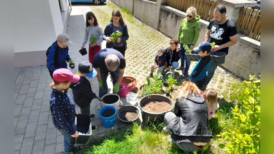  OGV Augsberg Kräuterpflanzen Kinder beim Erde mischen (Bild: Nikola Übler)