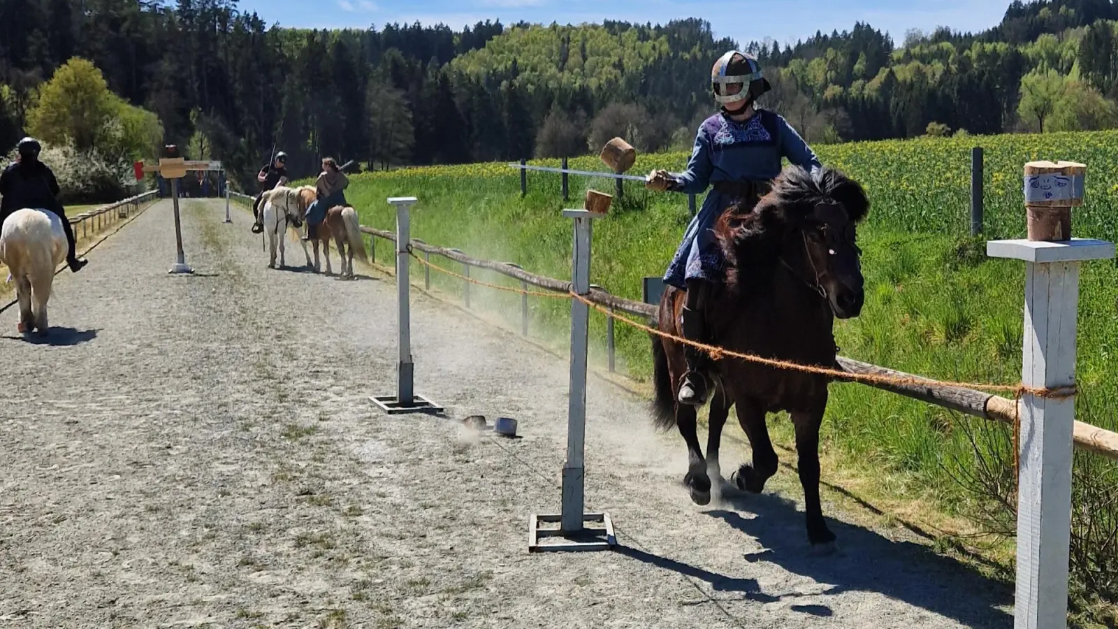 Beim Hälseschlagen gilt es, den unteren Holzklotz zu treffen. (Bild: Andrea Stadler)