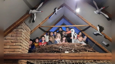 Foto 01: Im Naturhaus in Klenci gab es allerhand zu entdecken, wie diesen Storchenhorst. (Bild: Nikolaus Scherr)