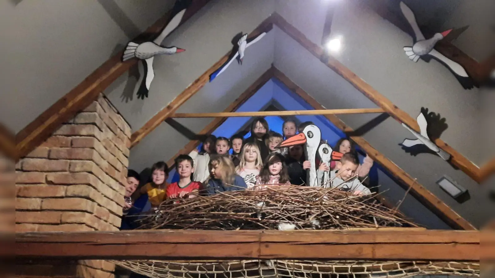 Foto 01: Im Naturhaus in Klenci gab es allerhand zu entdecken, wie diesen Storchenhorst. (Bild: Nikolaus Scherr)