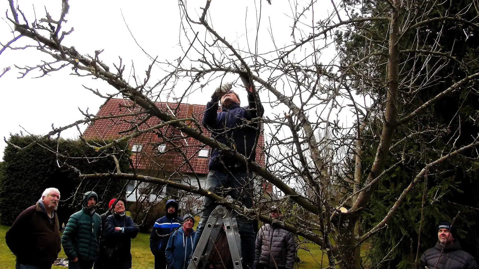 Obstbaum-Schnitt beim Obst- und Gartenbauverein. (Bild: Oswald Zintl)