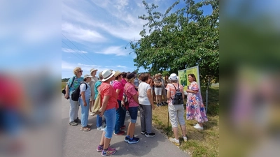 KDFB-Frauen am Märchenweg. (Bild: Barbara Dirrigl)