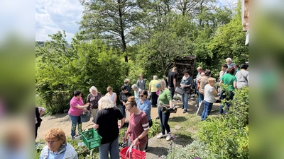 Dichtes Gedränge herrschte im Vereinsgarten des OGV Kemnath. Zahlreiche Gartler waren gekommen, um Pflanzen zu tauschen. (Bild: Werner Rupprecht)