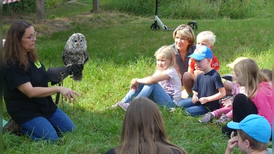 Michaela Domeyer erzählte den Kindern viel über das Leben des Habichtskauzes (Bild: Walther Hermann)