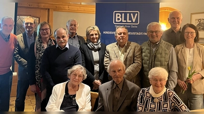 Geehrte des BLLV-Kreisverbandes Neustadt mit Vorsitzender Barbara Schwemmer (stehend rechts). (Bild: Armin Aichinger)