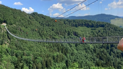 1. Hängebrücke, 2. Bodensee, 3.Wutachschlucht, 4-5.. Schluchtenweg, 6 Moormandl. (Bild: Maria Honig)