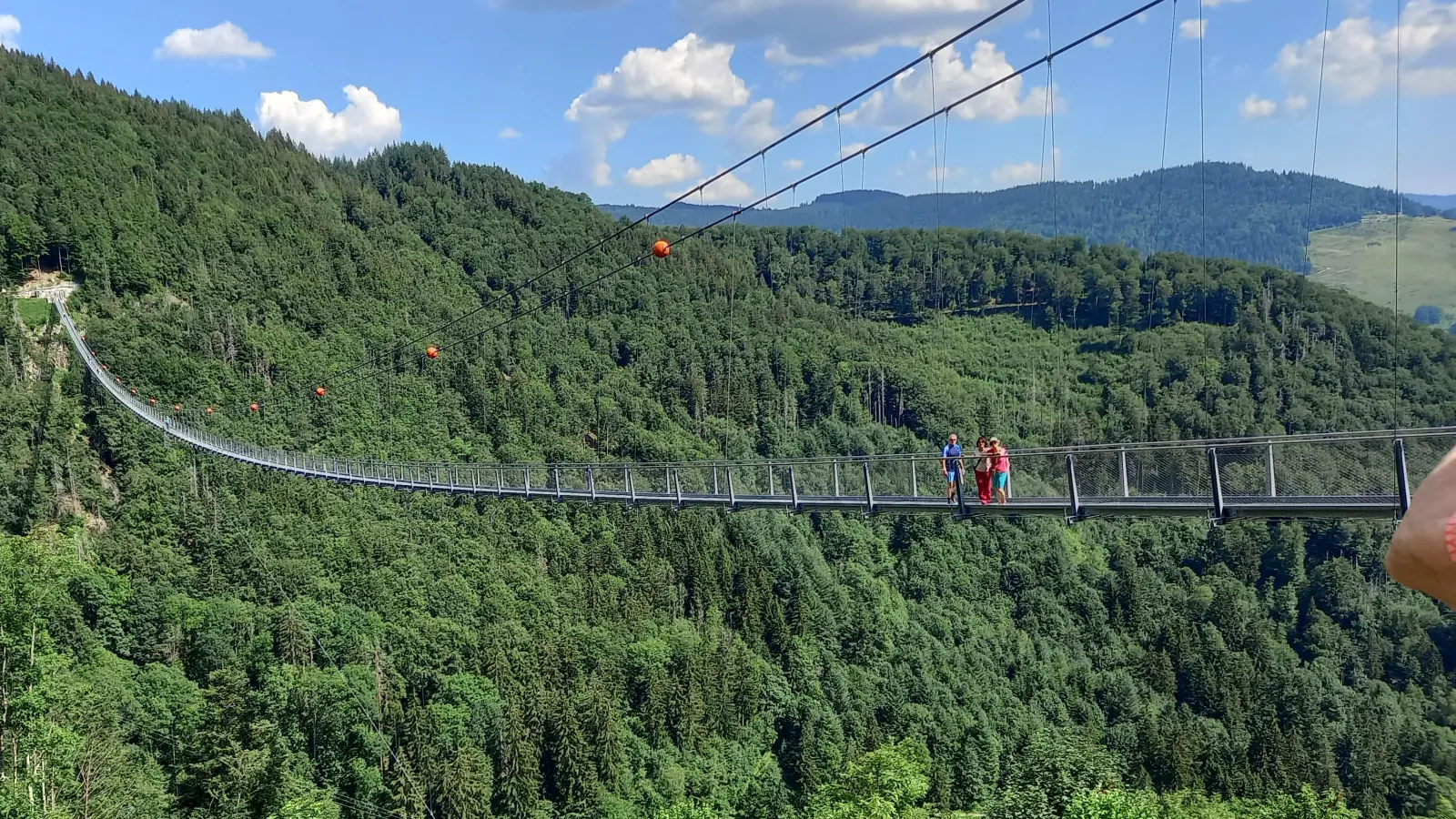 1. Hängebrücke, 2. Bodensee, 3.Wutachschlucht, 4-5.. Schluchtenweg, 6 Moormandl. (Bild: Maria Honig)