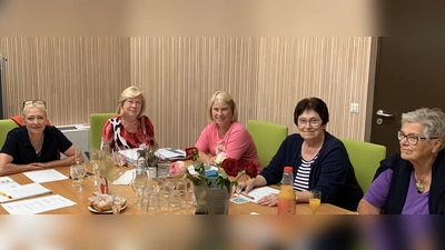 Besprechung im kleinen Sitzungssaal mit 2.Bürgermeisterin Gabriele Wittleben, Seniorenbeauftragten Gabriele Beck mit Helferteam (von links nach rechts)  (Bild: Silvia Beck)