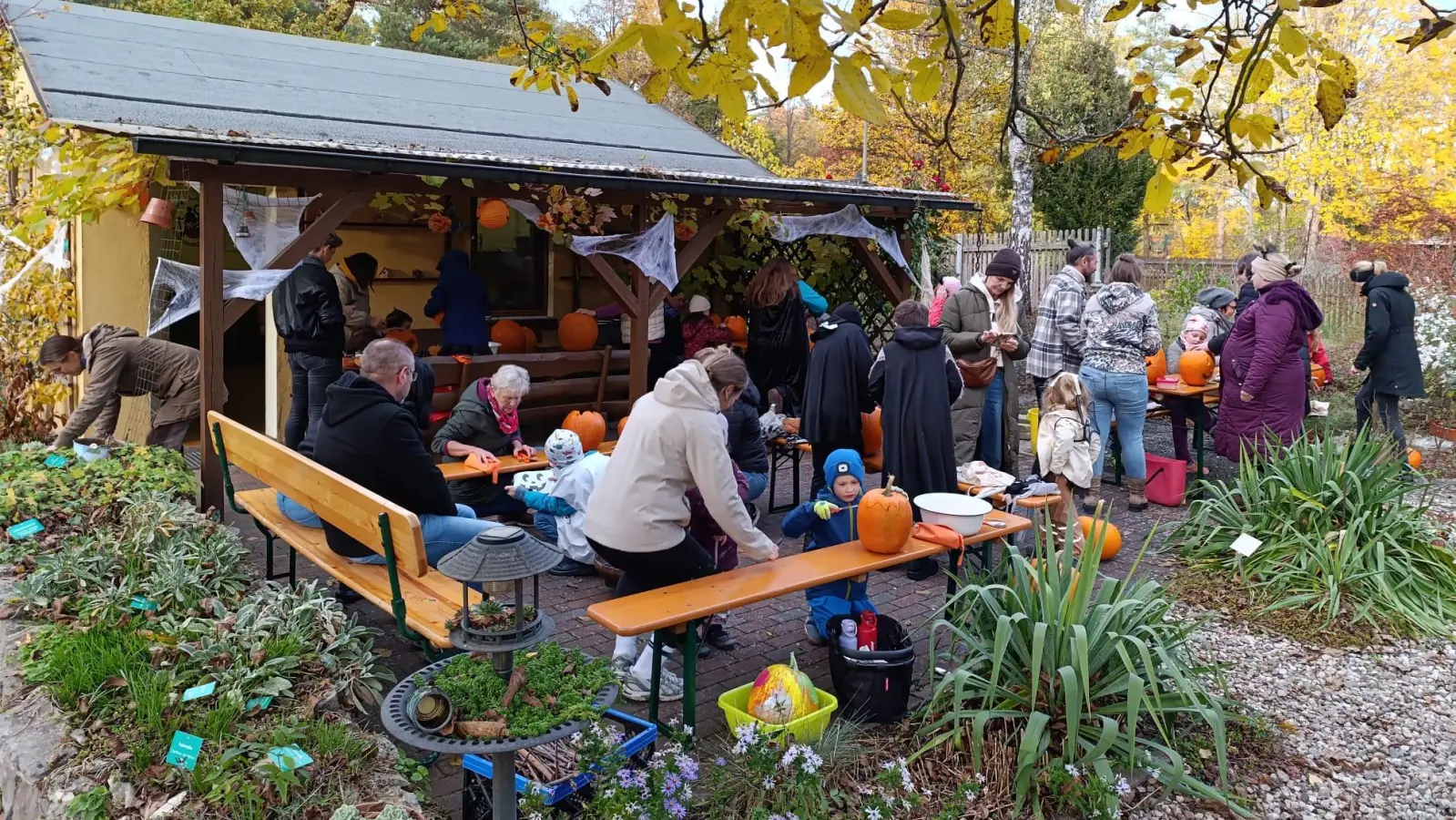 Eifrige Eltern und Kinder beim Kürbisschnitzen vor dem Vereinsheim des OGV Weiden. (Bild: Margarete Czichon)