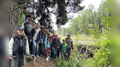 Florian Forster zeigt den Kindern den Biberdamm. (Bild: Maria Neubauer)