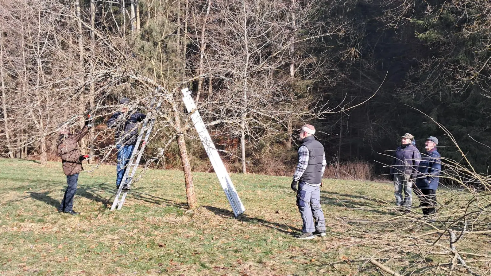 Die fleißigen Helfer bei Ihrer Arbeit  (Bild: Andrea Egner)