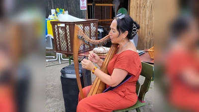 Ein Konzert mit der Harfe (Bild: Christina Ponader)