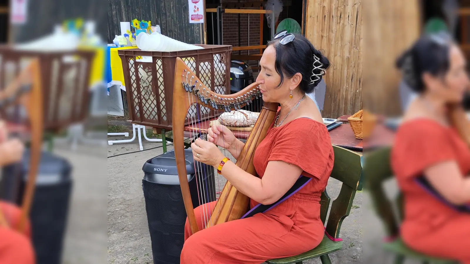 Ein Konzert mit der Harfe (Bild: Christina Ponader)