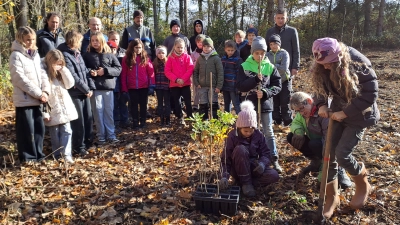 Unter sachkundiger Anleitung von Studienrätin (MS) Felicitas Berger, Forstamtsleiter Martin Seits und Förster Stefan Binner pflanzten die Schülerinnen und Schüler Bäume. Schulleiter Florian Fuchs und 3. Bürgermeister Hubert Blödt lobten die Jungen und Mädchen sehr für ihren Einsatz  (Bild: Florian Fuchs)