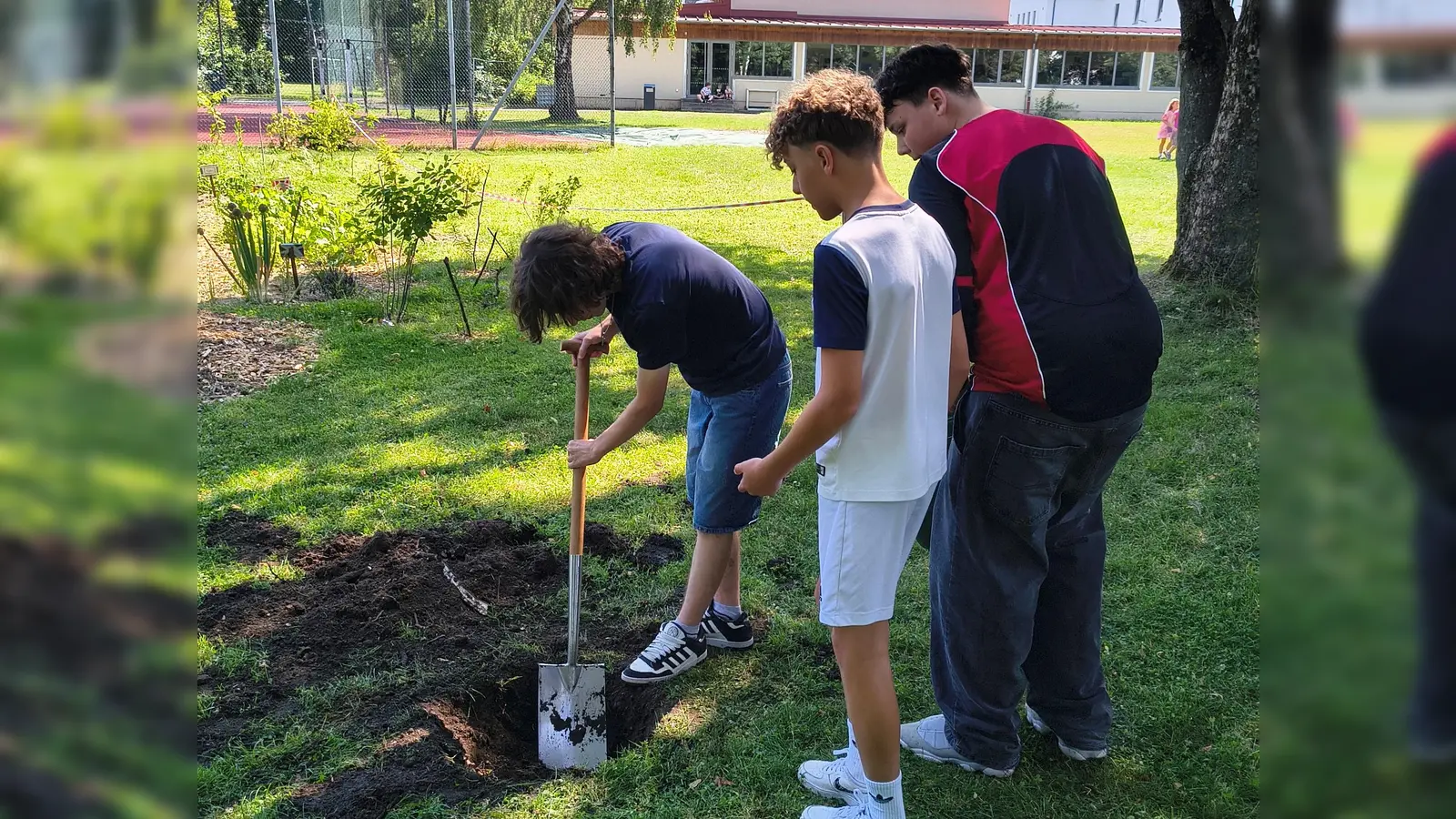 Ein Teil der Klasse R7 hebt das Pflanzloch für den Apfelbaum aus. (Bild: Bernhard Hirsch)