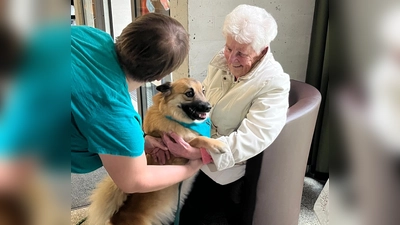 Die Vierbeiner zauberten den Seniorinnen und Senioren ein breites Lächeln ins Gesicht. (Bild: Annemarie Fischer)