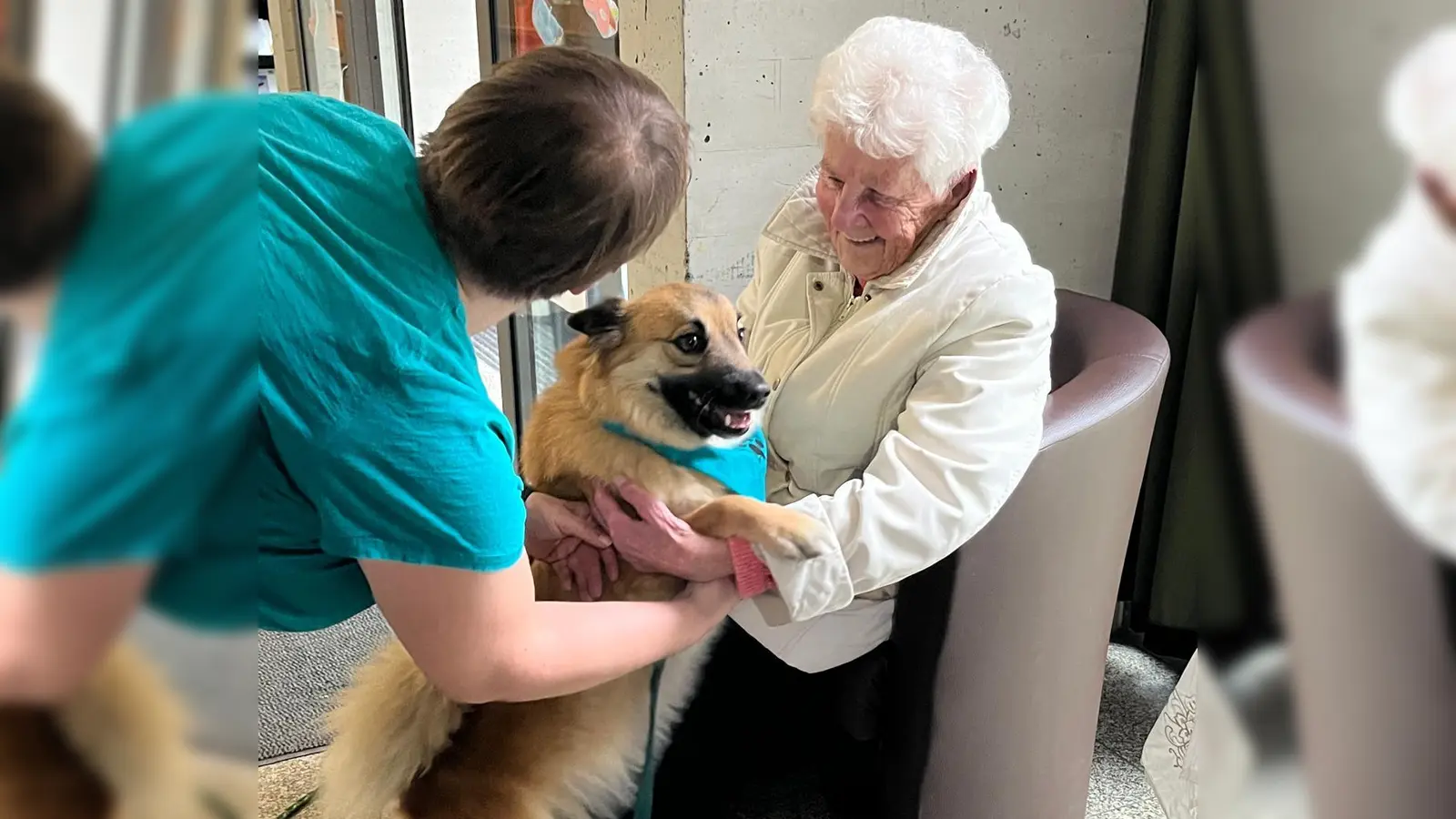 Die Vierbeiner zauberten den Seniorinnen und Senioren ein breites Lächeln ins Gesicht. (Bild: Annemarie Fischer)